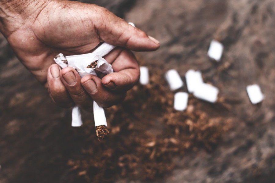 Découvrez la vérité sur la composition d'une cigarette