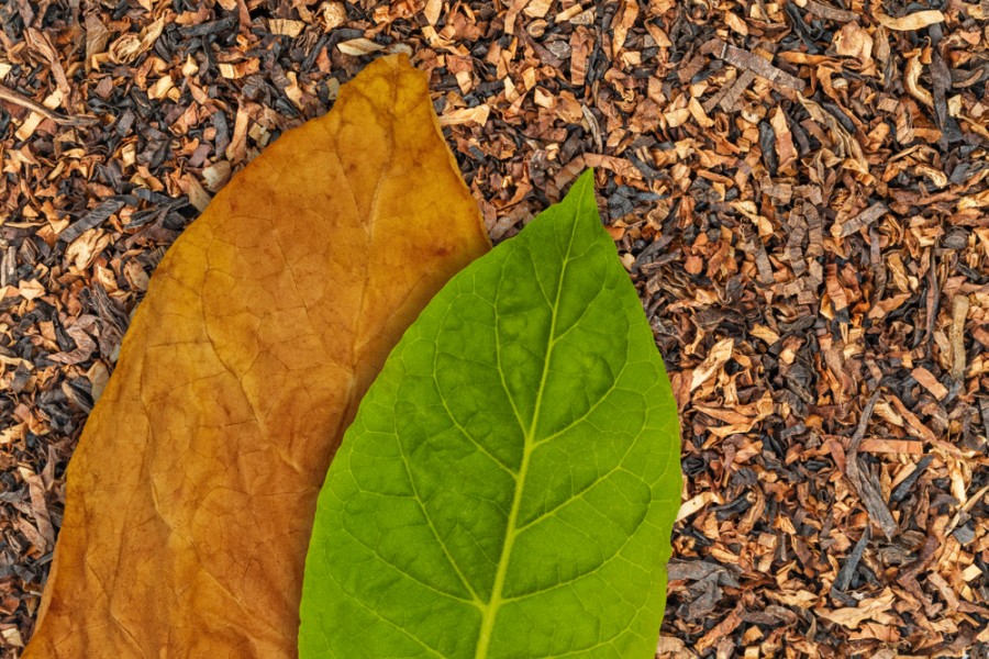 Est-ce que le tabac bio existe ?